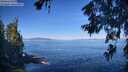 ./images/koeye/fitz-hugh/20260623/fitz-hugh20260623_093002M.jpg
