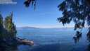 ./images/koeye/fitz-hugh/20260623/fitz-hugh20260623_094501M.jpg