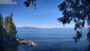 ./images/koeye/fitz-hugh/20260623/fitz-hugh20260623_095501M.jpg