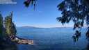 ./images/koeye/fitz-hugh/20260623/fitz-hugh20260623_101002M.jpg