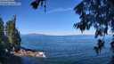 ./images/koeye/fitz-hugh/20260623/fitz-hugh20260623_104001M.jpg