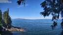 ./images/koeye/fitz-hugh/20260623/fitz-hugh20260623_105502M.jpg