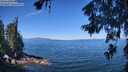./images/koeye/fitz-hugh/20260623/fitz-hugh20260623_110501M.jpg