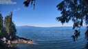 ./images/koeye/fitz-hugh/20260623/fitz-hugh20260623_111501M.jpg
