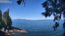 ./images/koeye/fitz-hugh/20260623/fitz-hugh20260623_112502M.jpg