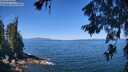 ./images/koeye/fitz-hugh/20260623/fitz-hugh20260623_113001M.jpg