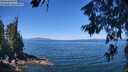 ./images/koeye/fitz-hugh/20260623/fitz-hugh20260623_113501M.jpg