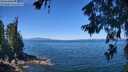 ./images/koeye/fitz-hugh/20260623/fitz-hugh20260623_114002M.jpg