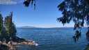 ./images/koeye/fitz-hugh/20260623/fitz-hugh20260623_114501M.jpg