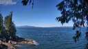 ./images/koeye/fitz-hugh/20260623/fitz-hugh20260623_115501M.jpg