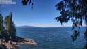 ./images/koeye/fitz-hugh/20260623/fitz-hugh20260623_120002M.jpg