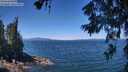 ./images/koeye/fitz-hugh/20260623/fitz-hugh20260623_121501M.jpg