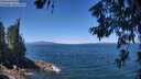 ./images/koeye/fitz-hugh/20260623/fitz-hugh20260623_122501M.jpg