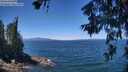 ./images/koeye/fitz-hugh/20260623/fitz-hugh20260623_123501M.jpg
