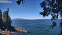 ./images/koeye/fitz-hugh/20260623/fitz-hugh20260623_125001M.jpg