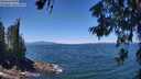 ./images/koeye/fitz-hugh/20260623/fitz-hugh20260623_125502M.jpg
