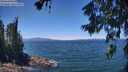 ./images/koeye/fitz-hugh/20260623/fitz-hugh20260623_131502M.jpg
