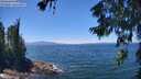 ./images/koeye/fitz-hugh/20260623/fitz-hugh20260623_132501M.jpg