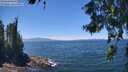 ./images/koeye/fitz-hugh/20260623/fitz-hugh20260623_133002M.jpg