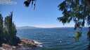 ./images/koeye/fitz-hugh/20260623/fitz-hugh20260623_134001M.jpg