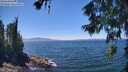./images/koeye/fitz-hugh/20260623/fitz-hugh20260623_134502M.jpg