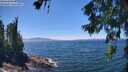 ./images/koeye/fitz-hugh/20260623/fitz-hugh20260623_135001M.jpg