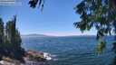 ./images/koeye/fitz-hugh/20260623/fitz-hugh20260623_135501M.jpg