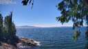 ./images/koeye/fitz-hugh/20260623/fitz-hugh20260623_140501M.jpg