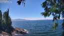 ./images/koeye/fitz-hugh/20260623/fitz-hugh20260623_141501M.jpg