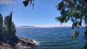 ./images/koeye/fitz-hugh/20260623/fitz-hugh20260623_142002M.jpg