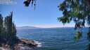 ./images/koeye/fitz-hugh/20260623/fitz-hugh20260623_143001M.jpg