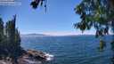 ./images/koeye/fitz-hugh/20260623/fitz-hugh20260623_143501M.jpg