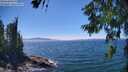 ./images/koeye/fitz-hugh/20260623/fitz-hugh20260623_144501M.jpg