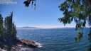 ./images/koeye/fitz-hugh/20260623/fitz-hugh20260623_145501M.jpg