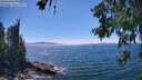 ./images/koeye/fitz-hugh/20260623/fitz-hugh20260623_151001M.jpg