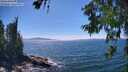 ./images/koeye/fitz-hugh/20260623/fitz-hugh20260623_151502M.jpg