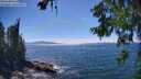 ./images/koeye/fitz-hugh/20260623/fitz-hugh20260623_152501M.jpg