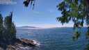 ./images/koeye/fitz-hugh/20260623/fitz-hugh20260623_153001M.jpg