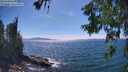 ./images/koeye/fitz-hugh/20260623/fitz-hugh20260623_153501M.jpg