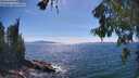 ./images/koeye/fitz-hugh/20260623/fitz-hugh20260623_155501M.jpg