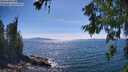 ./images/koeye/fitz-hugh/20260623/fitz-hugh20260623_160502M.jpg
