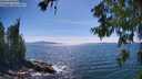 ./images/koeye/fitz-hugh/20260623/fitz-hugh20260623_161002M.jpg