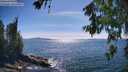 ./images/koeye/fitz-hugh/20260623/fitz-hugh20260623_163001M.jpg