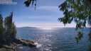 ./images/koeye/fitz-hugh/20260623/fitz-hugh20260623_163502M.jpg