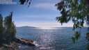 ./images/koeye/fitz-hugh/20260623/fitz-hugh20260623_164002M.jpg
