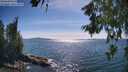 ./images/koeye/fitz-hugh/20260623/fitz-hugh20260623_164501M.jpg