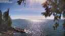 ./images/koeye/fitz-hugh/20260623/fitz-hugh20260623_165501M.jpg