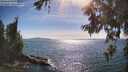 ./images/koeye/fitz-hugh/20260623/fitz-hugh20260623_170002M.jpg
