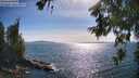 ./images/koeye/fitz-hugh/20260623/fitz-hugh20260623_172001M.jpg