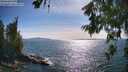 ./images/koeye/fitz-hugh/20260623/fitz-hugh20260623_172502M.jpg